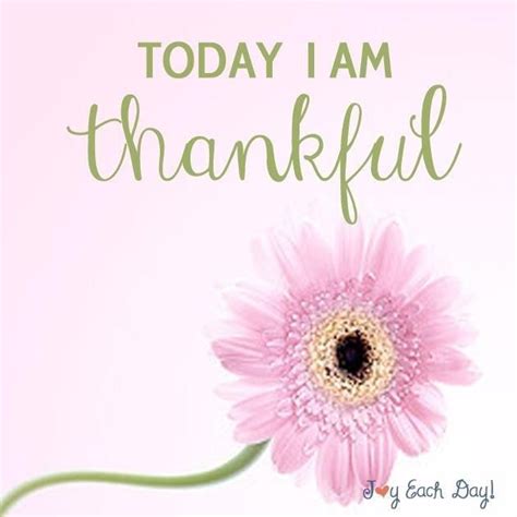 Pin By Denise Rork ༺♥༻ On ღ Thankfulness ღ Thankful Quotes Thankful