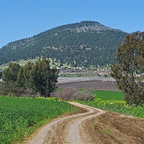 Mount Tabor in Israel stock photo. Image of country - 101850632