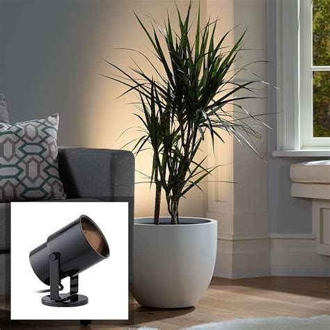 Accent Lights For Indoor Plants