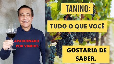 O Tanino Do Vinho O Que é Como Identificar Na Boca E Avaliar A Sua Qualidade Youtube