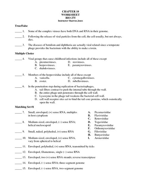 Best Images Of Blood Cells And Functions Worksheets Blood Cells