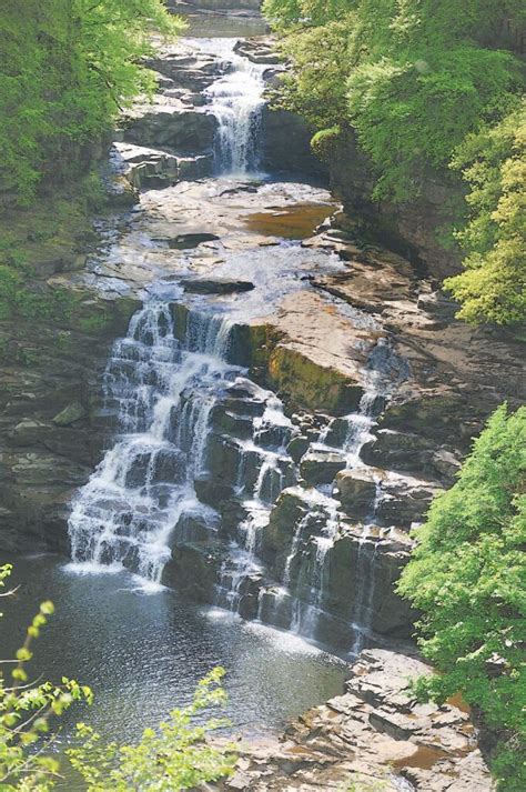 Falls Of Clyde | Images of Old Hawaiʻi