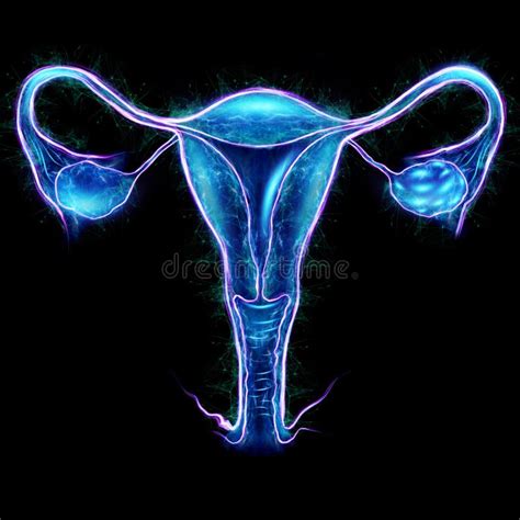 Hologram Of The Female Organ Of The Uterus With Different Medical