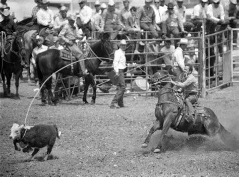 Cvd Rodeo 1969 Calf Roping Spectators Watch As A Man Rope Flickr