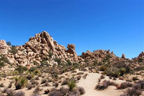 Hidden Valley, Joshua Tree National Park: Trail Guide — The Discoveries Of