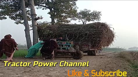 Tractors Trolly 600 Mann Sugarcane Load Dangerous Tractors Stunt