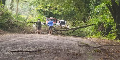 VÍDEO ventania e chuva forte derrubam árvores destelham casas em