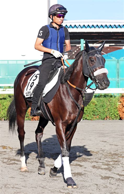 【キーンランドc】ナムラクレアが貫禄のスプリント重賞4勝目 スポーツ報知