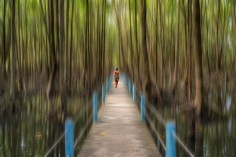 El Manglar De Koh Kong Paisajes Comunidad Nikonistas