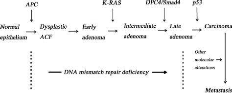 Figure 1 From The Kiss 1kiss 1r Complex As A Negative Regulator Of