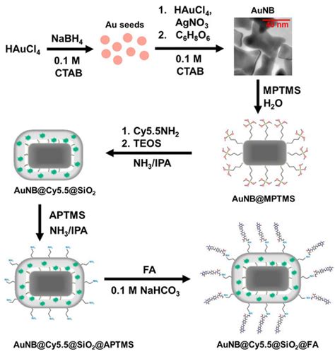 Nanomaterials Free Full Text One Pot Synthesis Of Silica Coated