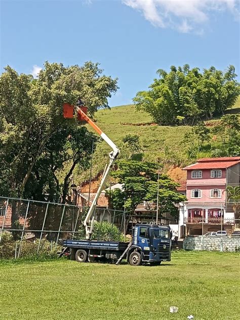 Serviço de podas e cortes emergenciais de árvores é intensificado em