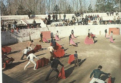 Del toro al infinito GREGORIO SÁNCHEZ HOMENAJE AL HACEDOR DE TOREROS