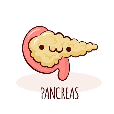 Premium Vector Pancreas Character Cartoon Mascot With Funny Face