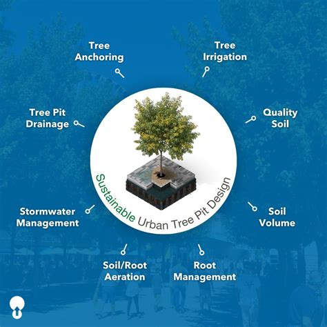#greeninfrastructure #urbanplanning #greenspaces #sustainable #landscaping #urbantrees # ...