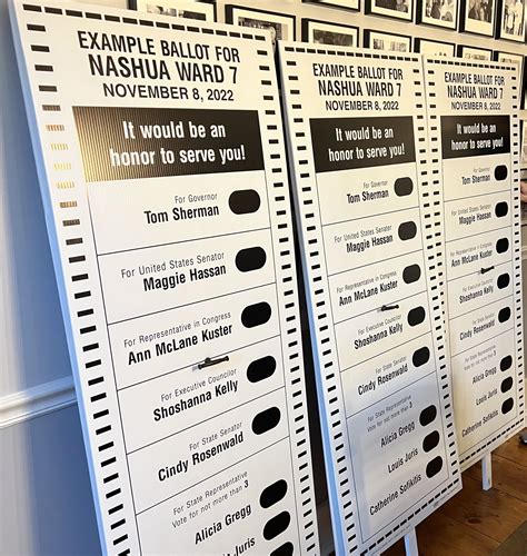 A New Election Day Voter Experience - Matty Gregg