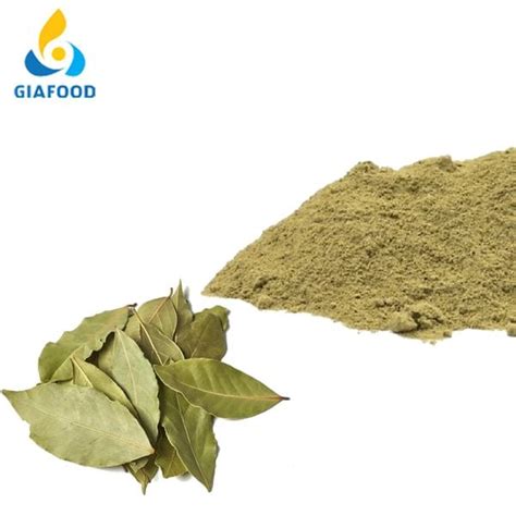 Laurus Nobilis Leaf Extract Giafood