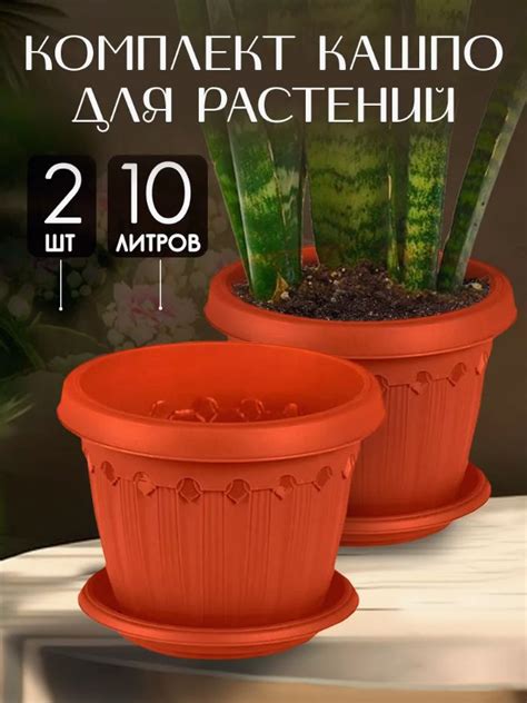 Кашпо, горшок для цветов, орхидеи, суккулентов, кактусов, фиалок ...