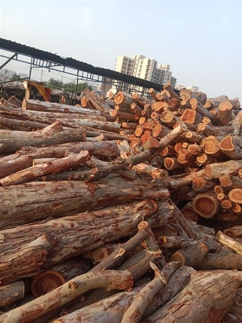 Brown Sheesham Wood Logs For Furniture At Rs 800 Cubic Feet In Hapur