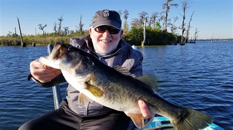 How To Catch Bass In Summer Best Strategies For Summer