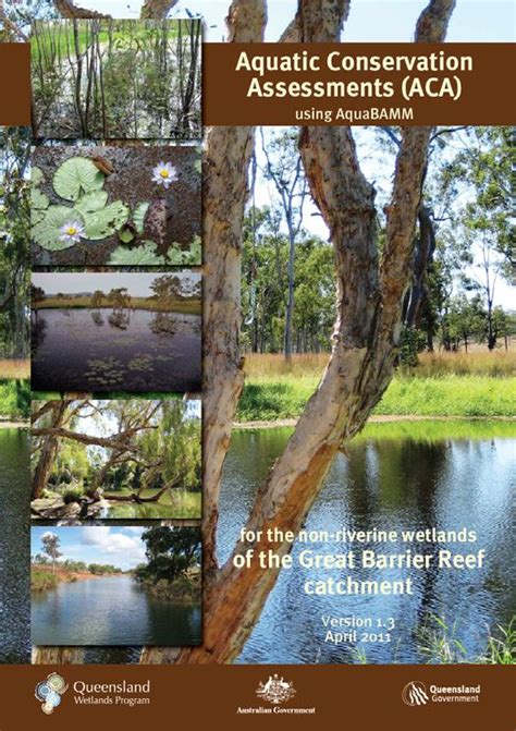 Wetlands In The Great Barrier Reef Catchments Management Strategy 2016