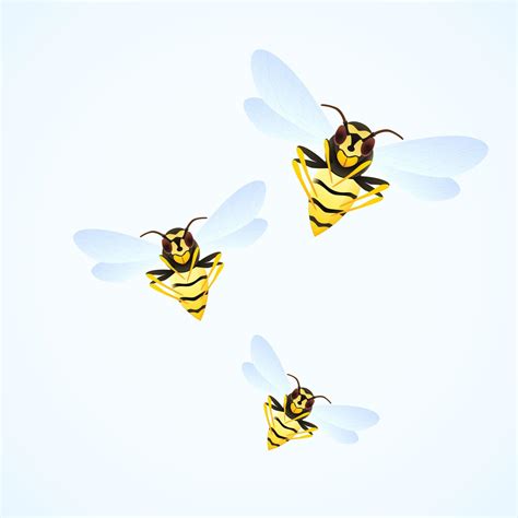 Wasp swarm cartoon illustration isolated on white background. poisonous