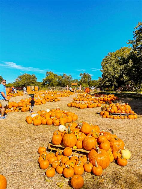 Things To Do In The Fall In Austin Your Autumn Bucket List The Austin Things