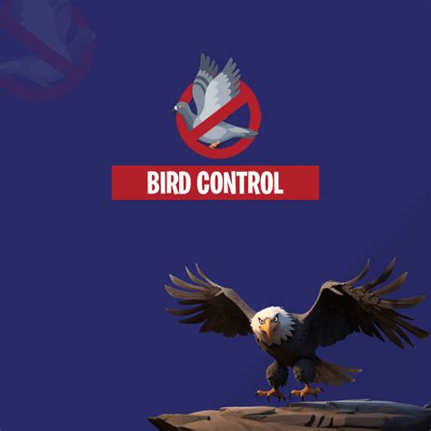 Bird control - Copley Pest Solutions