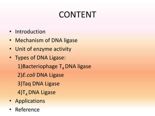 Dna ligase | PPT