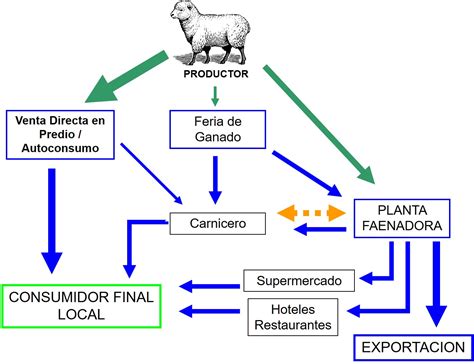 Mercado Goldensheep