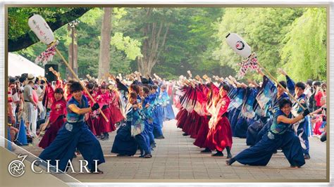 【4k】早稲田大学東京花火｜ハヰカラ（よさこい光が丘 2018） Youtube