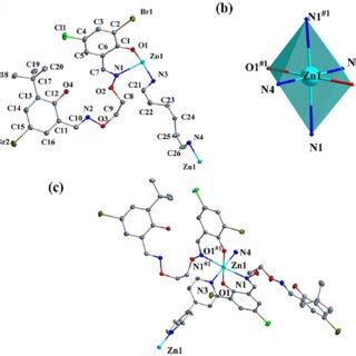 View Of The 1 D Coordination Structure Of Zn II CP A View Of The