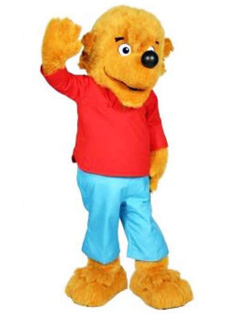 Berenstain Bear Brother Bear And Sister Bear Mascot Costume