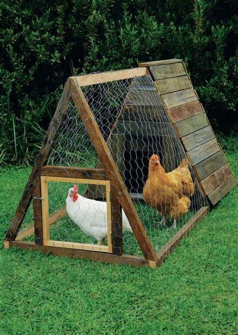 Diy A Frame Chicken Coop Steps To Effortless Chicken Care Your