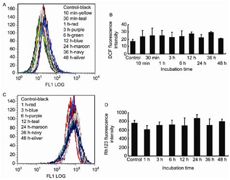 Flow Cytometry Showing The Effects Of SPIONs On ROS Production And The