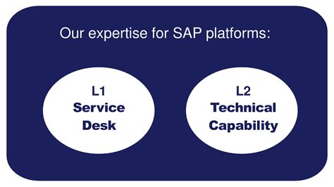 Improve Operational Efficiency With Ntt Datas Sap Application