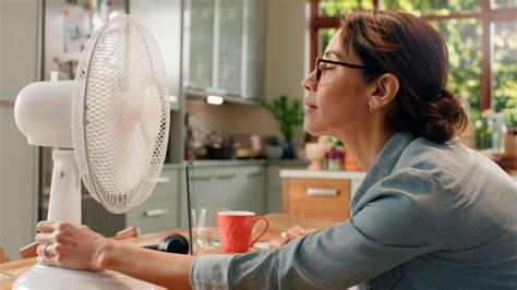 Adiós aire acondicionado cuáles son los mejores ventiladores del