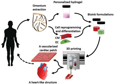 Scientists Have Created World S First 3D Printed Heart Using Patient S