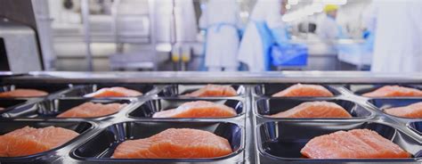 Australia Faces Significant Seafood Mislabeling Issue Dna Tests Reveal