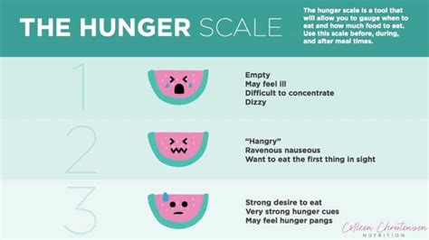 The Right Way To Use A Hunger Fullness Scale Colleen Christensen