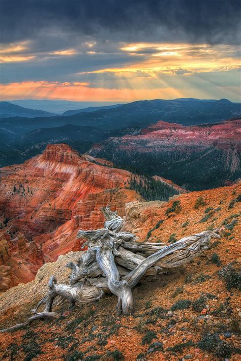 Cedar Breaks | Scenery, Natural scenery, Nature