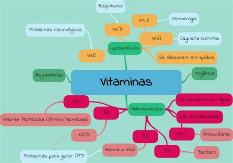 Mapas Mentais Biologia Mapas Mentais Vitaminas Biologia Porn Sex Picture