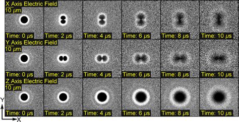 Procedures To Obtain A Normalized PCF Image In This Example The