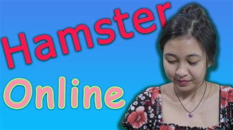 Surprise Beli Hamster Online Gak Nyangka YouTube