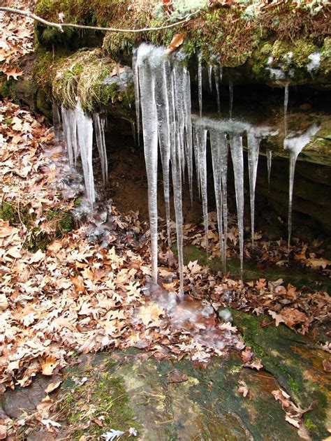 Late winter at Hawn state park (Missouri) 2007 | State parks, Waterfall ...