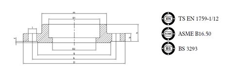 ANSI Amerikan Normu Slip On Flanşlar ASME B16 50 FLANŞ PATENT DİRSEK