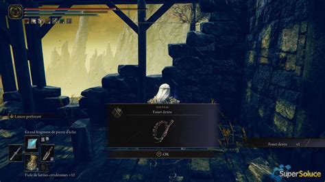 Elden Ring Sote Walkthrough Scadu Altus East Game Of Guides