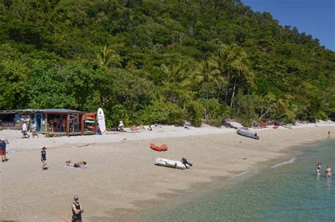 Charter Boat Cairns Fitzroy Island Tour Up To 300 Guests