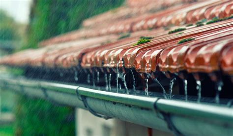 Como captar armazenar e tratar a água da chuva AGRONEGÓCIO