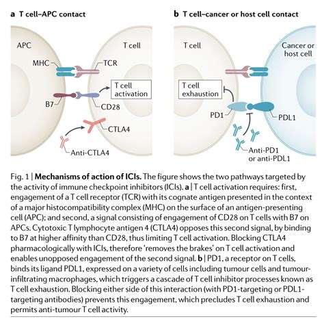 Thread by @aishaikh on Thread Reader App – Thread Reader App 